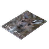 Western Gray Kangaroo Australien Notizblock (Linke Seite)