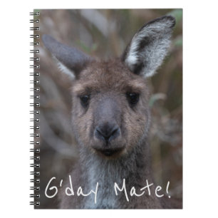 Western Gray Kangaroo Australien Notizblock