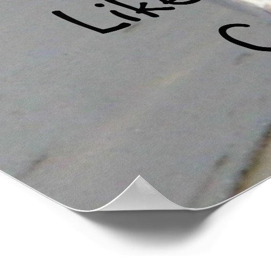 Western Grebe Poster (Ecke)