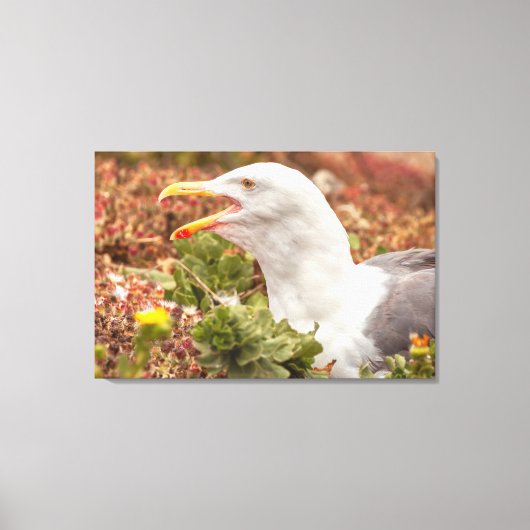 Western Gull Leinwanddruck (Vorderseite)