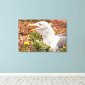 Western Gull Leinwanddruck (Insitu (Holzboden))