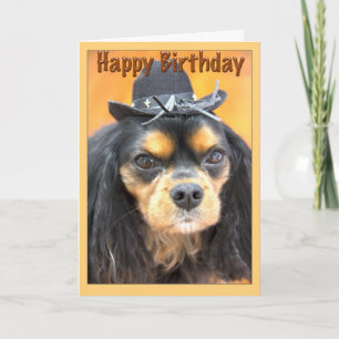 Western Happy Birthday Cavalier King Charles Karte