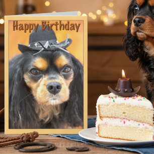 Western Happy Birthday Cavalier King Charles Karte