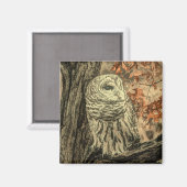 Western Herbst Blätter Eichenbaum Magnet (Vorderseite/Rückseite)