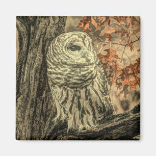 Western Herbst Blätter Eichenbaum Magnet
