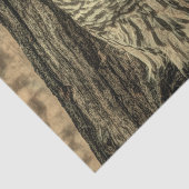 Western Herbst Blätter Eichenbaum Seidenpapier (Ausschnitt)