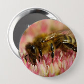 Western Honey Bee Macro Button (Vorne & Hinten)