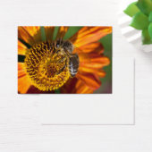 Western Honey Bee Macro Foto (Schreibtisch)