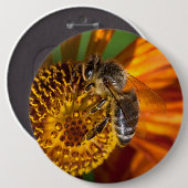 Western Honey Bee Macro Foto Button (Vorne & Hinten)