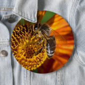 Western Honey Bee Macro Foto Button (Beispiel)