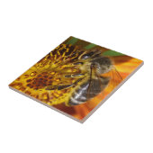 Western Honey Bee Macro Foto Fliese (Seite)