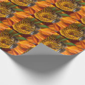 Western Honey Bee Macro Foto Geschenkpapier (Ecke)