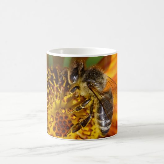 Western Honey Bee Macro Foto Kaffeetasse (Mittel)