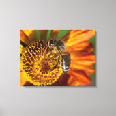 Western Honey Bee Macro Foto Leinwanddruck (Vorderseite)