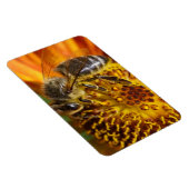 Western Honey Bee Macro Foto Magnet (Rechte Seite)