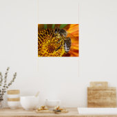 Western Honey Bee Macro Foto Poster (Küche)