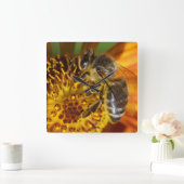 Western Honey Bee Macro Foto Quadratische Wanduhr (Zuhause)