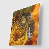 Western Honey Bee Macro Foto Quadratische Wanduhr (Winkel)
