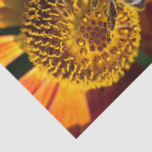 Western Honey Bee Macro Foto Seidenpapier (Ausschnitt)