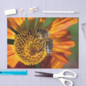 Western Honey Bee Macro Foto Seidenpapier (Handwerk)