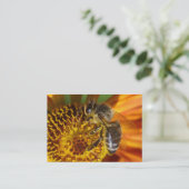 Western Honey Bee Macro Foto Visitenkarte (Stehend Vorderseite)