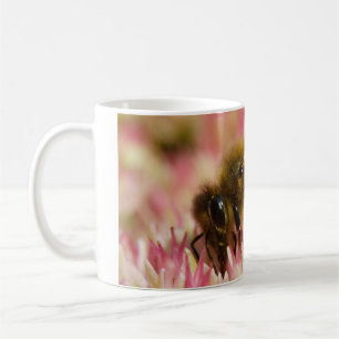 Western Honey Bee Macro Kaffeetasse