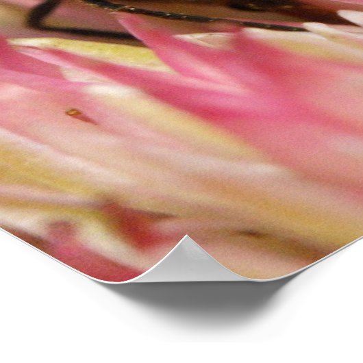 Western Honey Bee Macro Poster (Ecke)