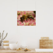 Western Honey Bee Macro Poster (Küche)