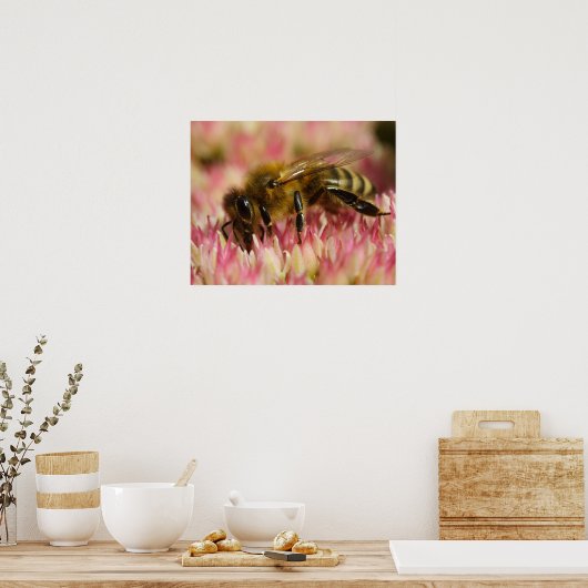 Western Honey Bee Macro Poster (Küche)