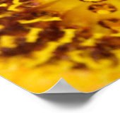 Western Honey Bee Macro Poster (Ecke)