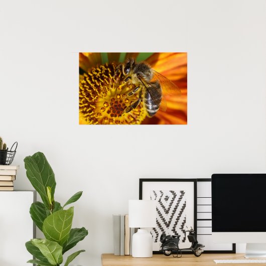 Western Honey Bee Macro Poster (Heimbüro)