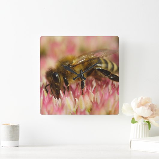 Western Honey Bee Macro Quadratische Wanduhr (Zuhause)
