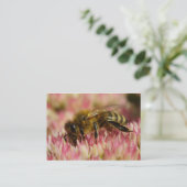 Western Honey Bee Macro Visitenkarte (Stehend Vorderseite)