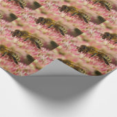 Western Honigbiene auf Sedum Geschenkpapier (Ecke)