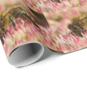 Western Honigbiene auf Sedum Geschenkpapier (Rolleneckpunkt)