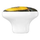 Western Horse Cowboy Stiefel Gitarre Sonnenblumen Keramikknauf (Seitenansicht)