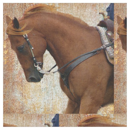 Western Horse Grunge Stoff (Nahaufnahme)
