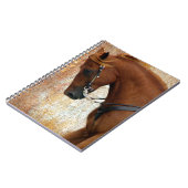 Western Horse Sorrel Grunge Notizblock (Linke Seite)