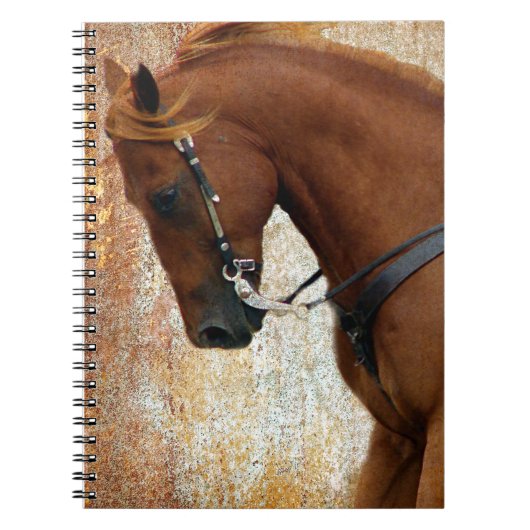 Western Horse Sorrel Grunge Notizblock (Vorderseite)