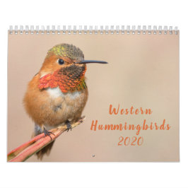 Western Hummingbirds 2020 Kalender