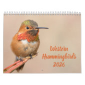 Western Hummingbirds Fotograf Kalender (Titelbild)