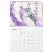 Western Hummingbirds Fotograf Kalender (Feb 2027)