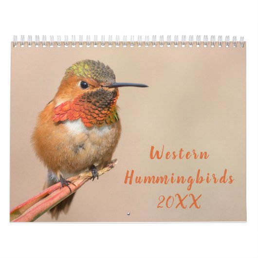 Western Hummingbirds Fotografie Kalender (Titelbild)