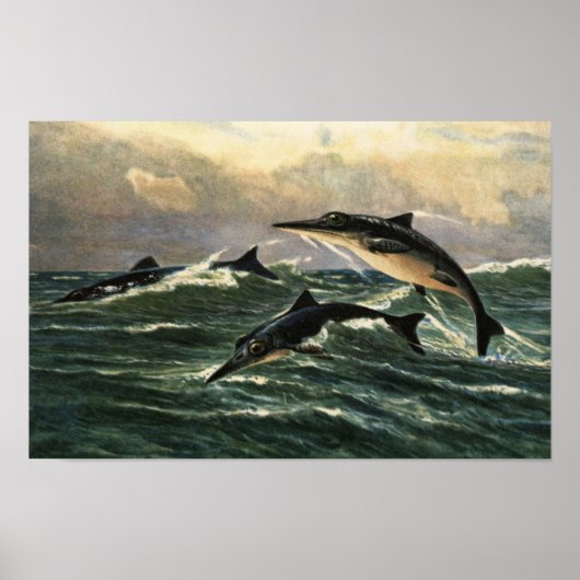 western interior seaway poster (Vorne)
