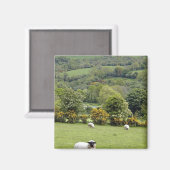 Western Irland, Dingle Halbinsel, breit Magnet (Vorderseite/Rückseite)