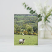 Western Irland, Dingle-Halbinsel, breit Postkarte (Stehend Vorderseite)