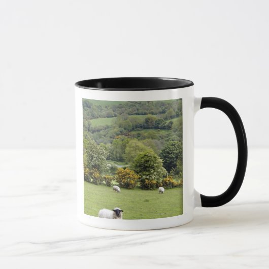 Western Irland, Dingle Halbinsel, breit Tasse (Rechts)