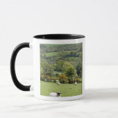 Western Irland, Dingle Halbinsel, breit Tasse (Links)
