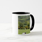Western Irland, Dingle Halbinsel, breit Tasse (VorderseiteRechts)