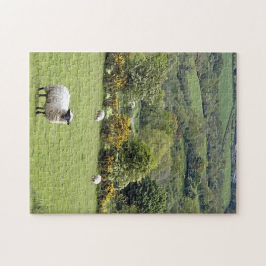 Western Irland, Dingle Halbinsel Puzzle (Horizontal)